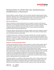 Detecting Proteins on a Western blot