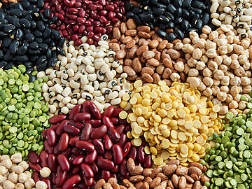 Various Legumes, colorful beans top view
