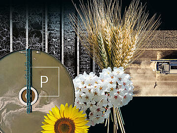 Header Phosphorus Sewage Sludge
